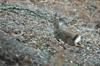 dsc_0007.jpg