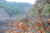 dsc_0027.jpg