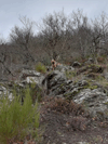 dsc_0039.jpg