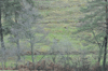 dsc_0002.jpg