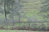dsc_0003.jpg