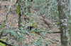 dsc_0013.jpg