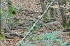 dsc_0014.jpg