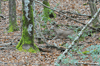dsc_0015.jpg