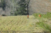 dsc_0019.jpg