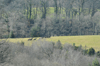dsc_0020.jpg
