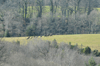 dsc_0021.jpg