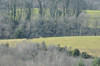dsc_0022.jpg