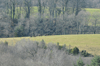 dsc_0023.jpg