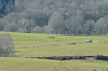 dsc_0024.jpg