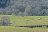 dsc_0025.jpg