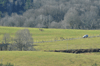 dsc_0027.jpg