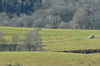 dsc_0028.jpg