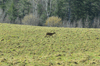 dsc_0029.jpg