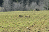 dsc_0032.jpg
