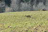dsc_0033.jpg