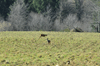 dsc_0034.jpg