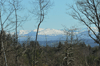 dsc_0035.jpg