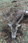 dsc_0047.jpg
