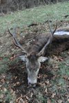 dsc_0048.jpg