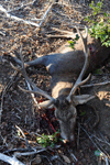 dsc_0055.jpg
