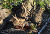 dsc_0058.jpg