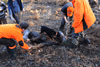 dsc_0065.jpg