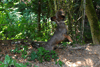 dsc_0019.jpg