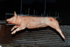 dsc_0003.jpg