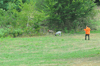 dsc_0001.jpg