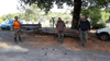 dsc_0035.jpg