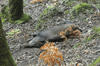 dsc_0006.jpg