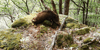 dsc_0008.jpg