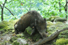 dsc_0010.jpg