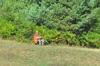 dsc_0012.jpg