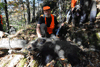 dsc_0018.jpg