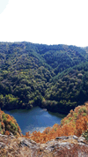 dsc_0026.jpg