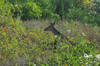 dsc_0006.jpg