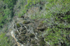 dsc_0002.jpg