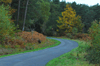 dsc_0006.jpg