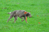 dsc_0004.jpg