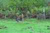 dsc_0008.jpg