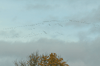 dsc_0015.jpg