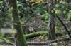 dsc_0002.jpg