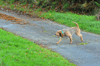 dsc_0003.jpg
