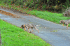dsc_0004.jpg