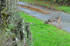 dsc_0005.jpg