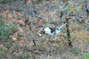 dsc_0014.jpg