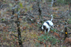 dsc_0016.jpg