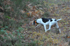 dsc_0017.jpg
